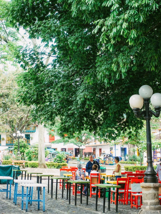 暮らしたくなる街、ハルディン☕️🇨🇴