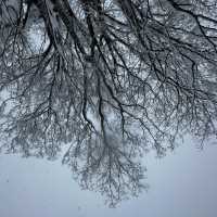 【石打丸山 滑雪場】冬季日旅德好選擇
