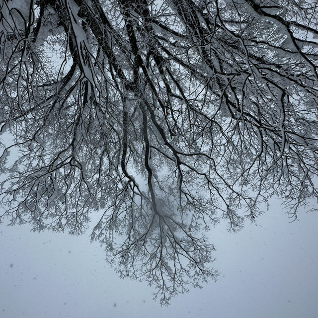 【石打丸山 滑雪場】冬季日旅德好選擇