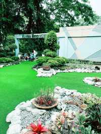 Discover Rimba Biodiversity – A Fascinating Reptile & Invertebrate Haven 