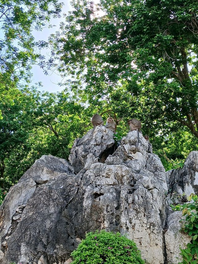 📍เขาวัง เพชรบุรี 🐒