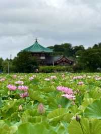 Ueno Park: A Cultural Stroll Through Tokyo’s Green Heart