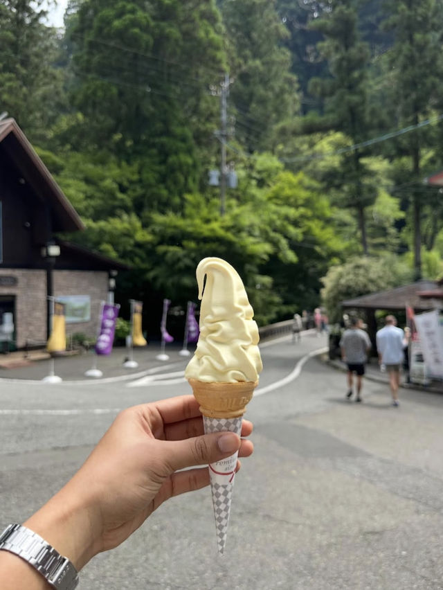 【宮崎】神話の渓谷🌿高千穂峡で心洗われる絶景旅