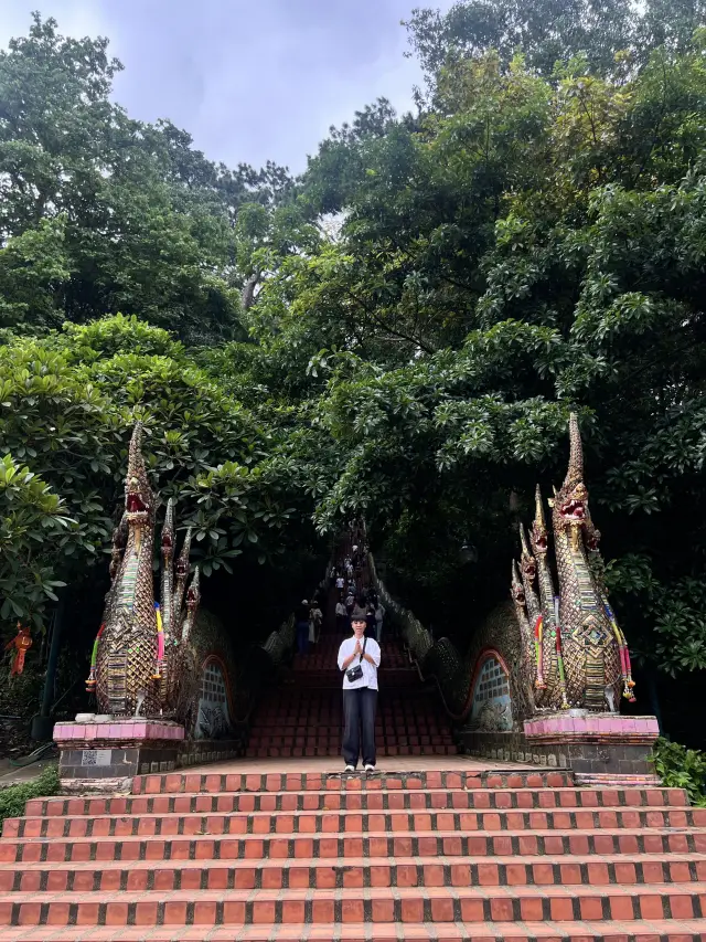 透過 Trip.com 租車 5 天，只要三千泰銖