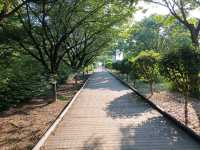 都市綠洲，首爾林的自然公園。