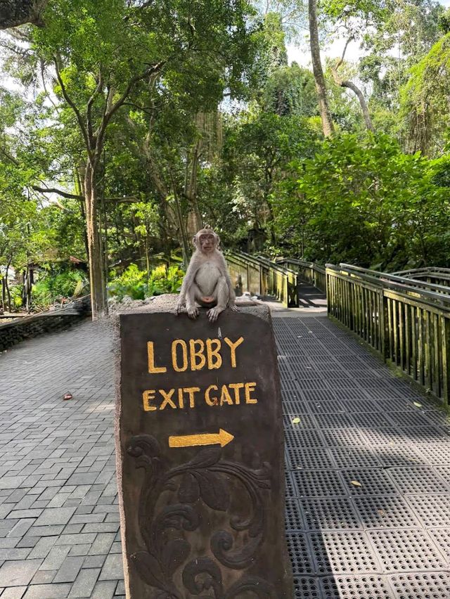 Monkey Forest, Ubud