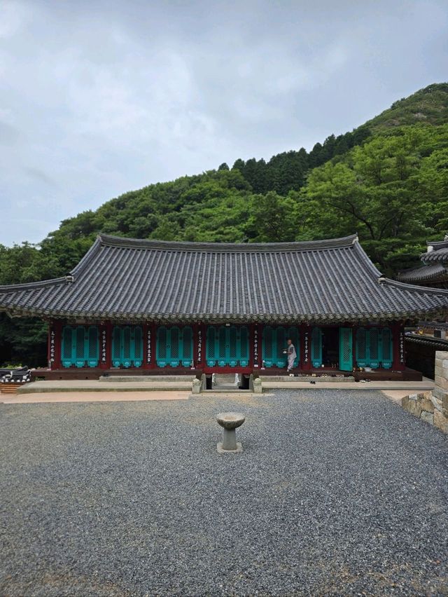 수국시즌에 꼭 가야할 남해사찰🩷