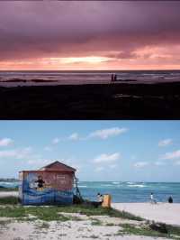 🌊 Jeju Island Bliss — Seaside Walks & Soulful Bites 🍲⛅