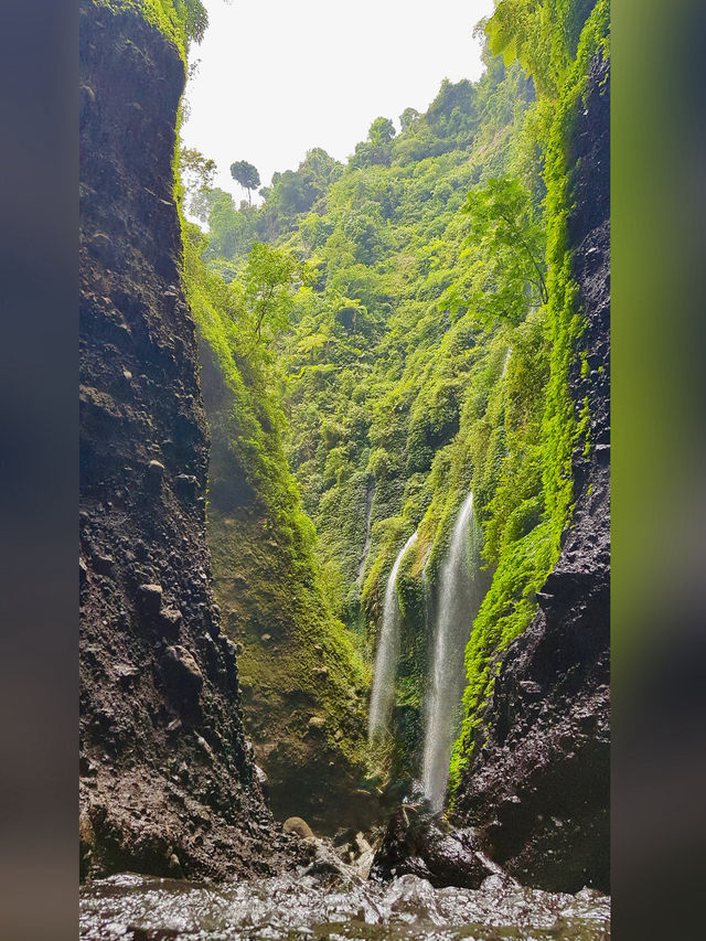 🌊 Discover Madakaripura Waterfall — Java’s Majestic Oasis