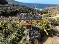 Angel’s Billabong – Nature’s Secret Infinity Pool 