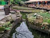People's Park – Chengdu’s Living Room