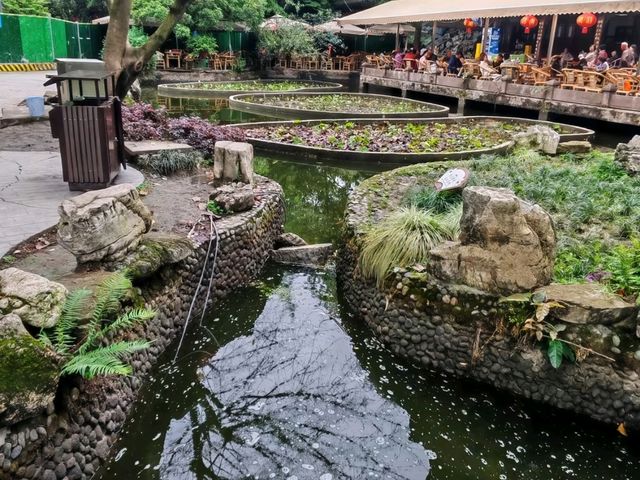 People's Park – Chengdu’s Living Room