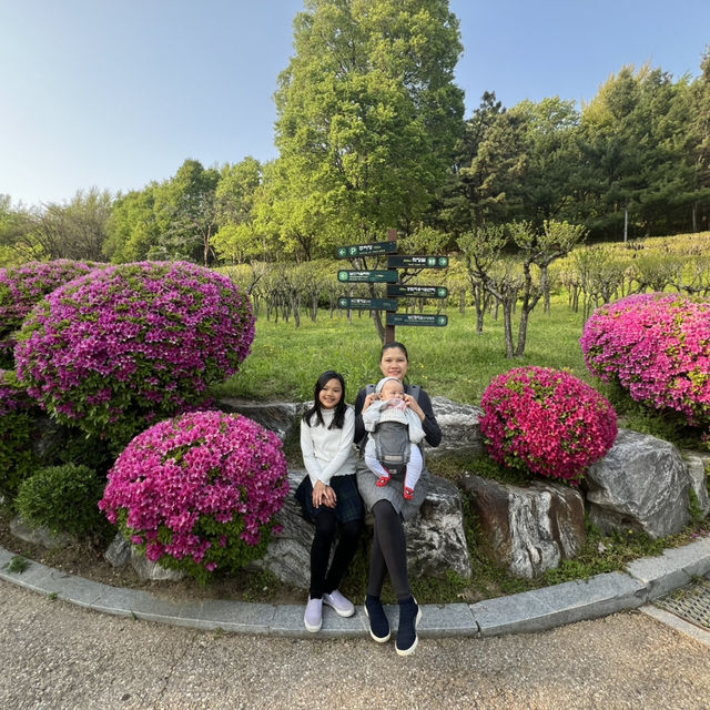 🇰🇷 How to spend 28 days in Seoul