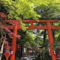 【貴船神社】水の神様に願いを込めて💧幻想的な森の中で縁結びの旅