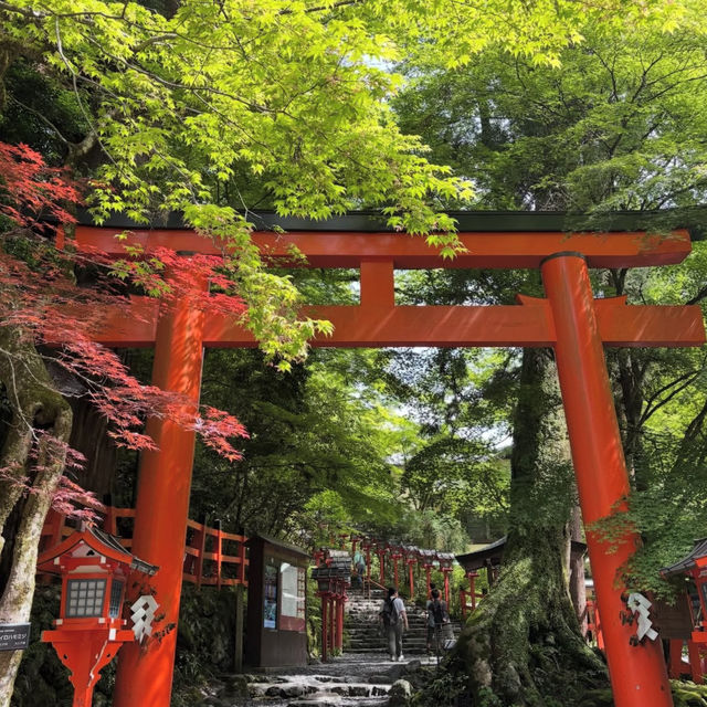 【貴船神社】水の神様に願いを込めて💧幻想的な森の中で縁結びの旅