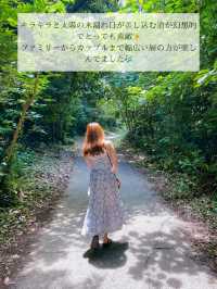 🌺超おすすめ！この夏行きたい秘密の海 in 館山市🌺