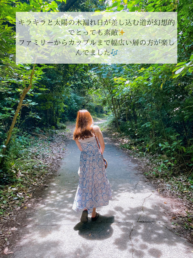🌺超おすすめ！この夏行きたい秘密の海 in 館山市🌺