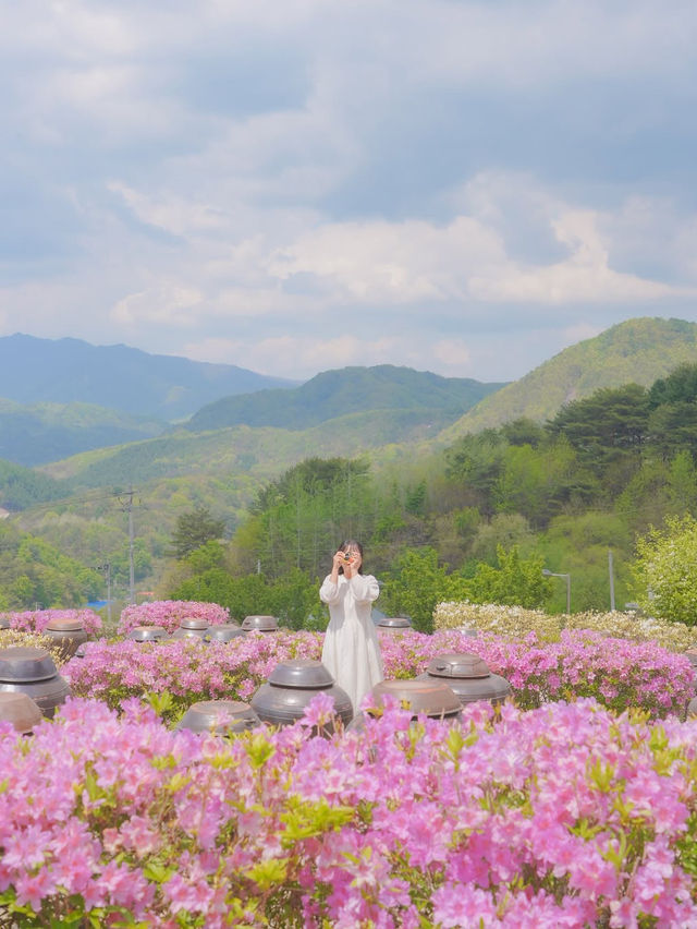 사랑 가득한 여행 하기 좋은 힐링 도시 화천🌿