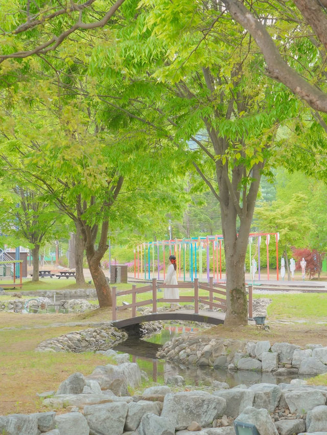사랑 가득한 여행 하기 좋은 힐링 도시 화천🌿