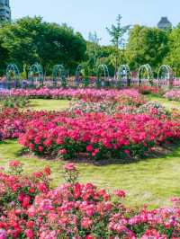 Hangzhou Xixi Rose Garden｜A Stroll Through Monet’s Painting 🎨🌹