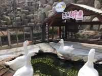 🌊釜山與大邱雙城漫遊｜入住SOLARIA HOTEL✨