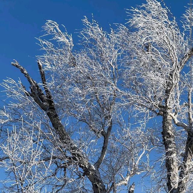 Yabuli Ski Resort (Heilongjiang)