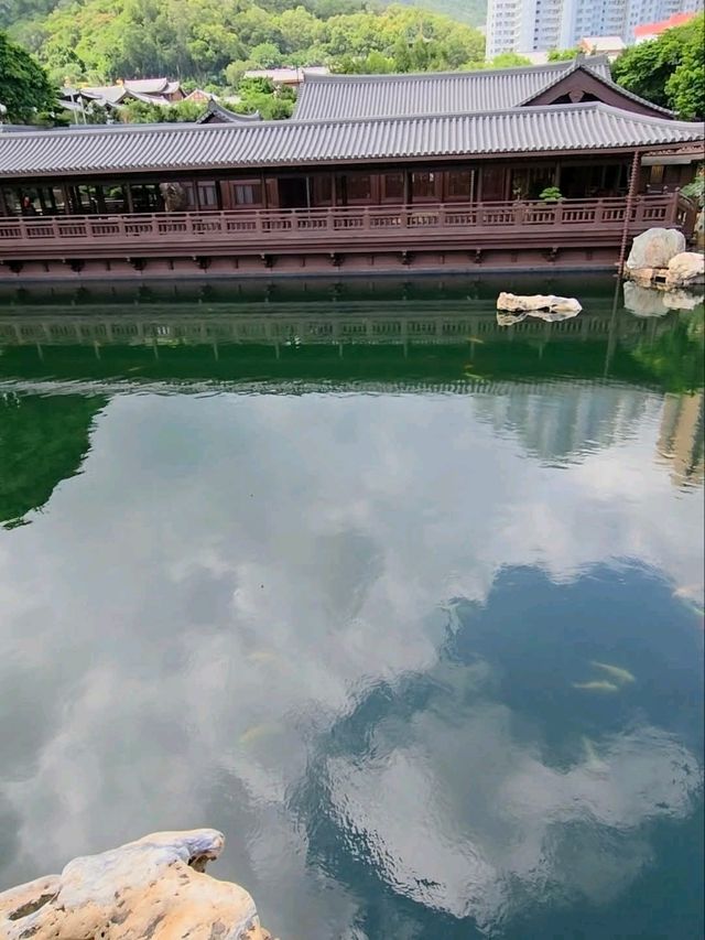🌸 *“Tang‑Style Lotus Oasis in the City”*
