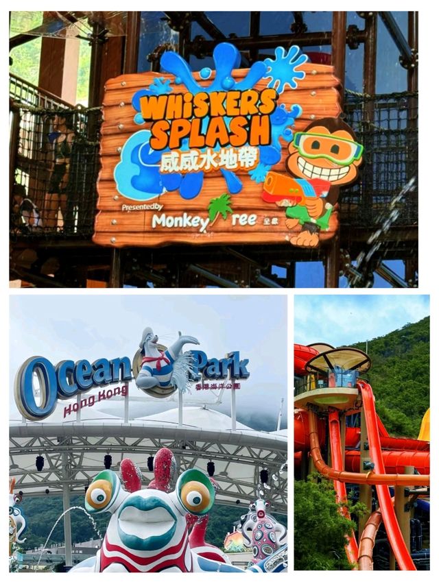 🌊 Water World Ocean Park, Hong Kong – Fun in Every Drop!