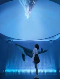 🐧 Harbin Polarland – China’s First Polar Aquarium