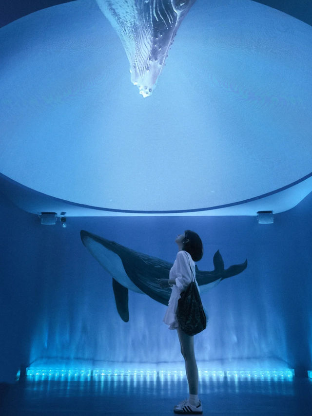 🐧 Harbin Polarland – China’s First Polar Aquarium