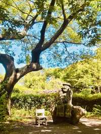A Serene Oasis of Art and Natural Beauty