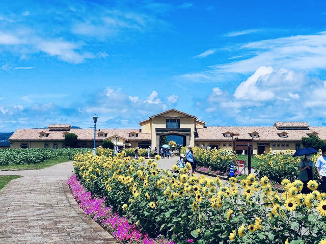 Soleil Hill is a year‑round floral haven with sweeping views of Izu Oshima and Mount Fuji