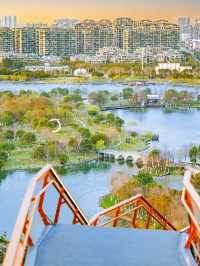 🌸Wenzhou Hidden Gem: Cherry Blossom Skywalk in Qinghe Park