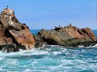 Islas Ballestas – “Peru’s Mini-Galápagos by the Sea”