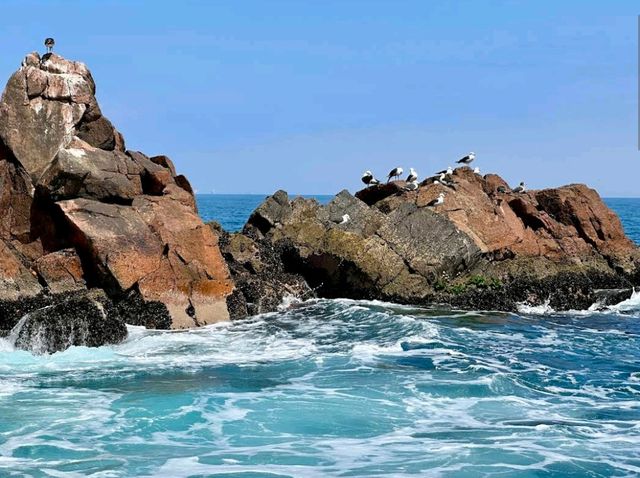 Islas Ballestas – “Peru’s Mini-Galápagos by the Sea”