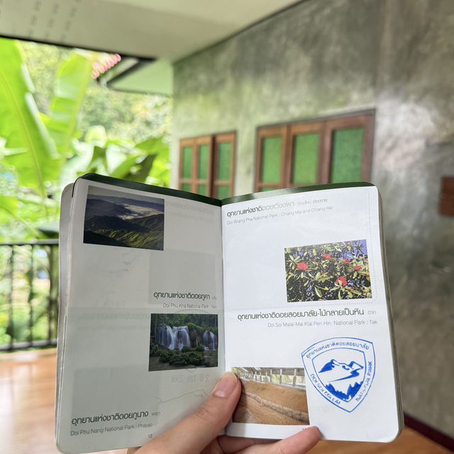 🌿 รีวิวดอยหลวงตาก | เดินป่าชันแต่วิวแจ่มมาก! 🏔️