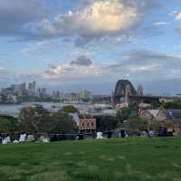 로망의 도시 ‘시드니’ 🇦🇺