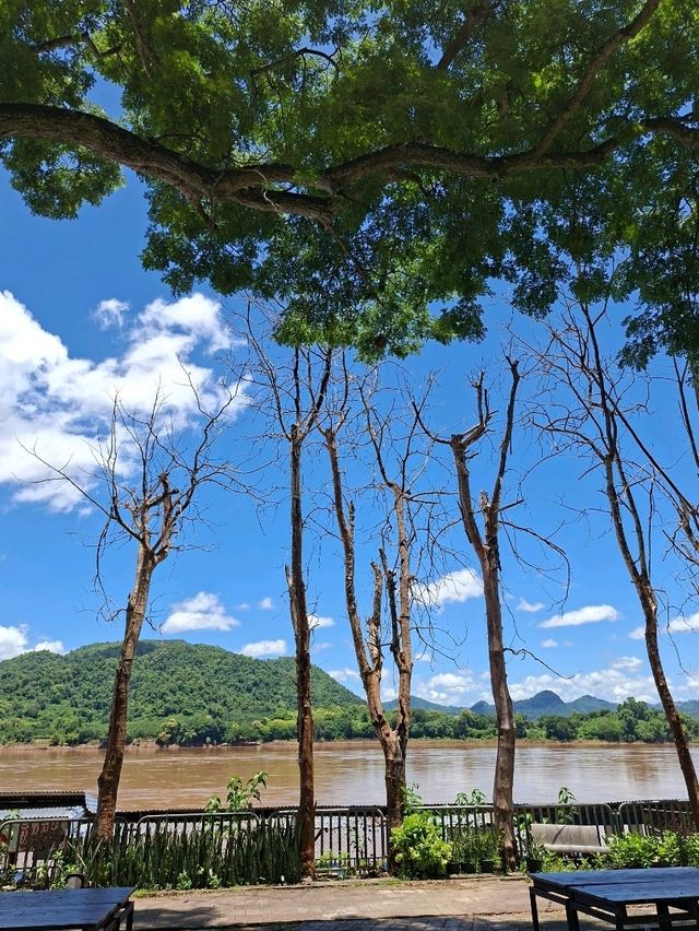 🏞 นั่งชมโขง ดูภูเขาสีเขียว วันฟ้าใส @แก่งคุดคู้ 