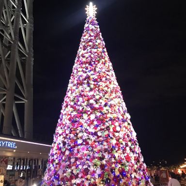 ✨煌めく聖夜へようこそ — 東京スカイツリータウン＆すみだ水族館