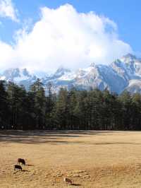 Eye-Level with the Mountain