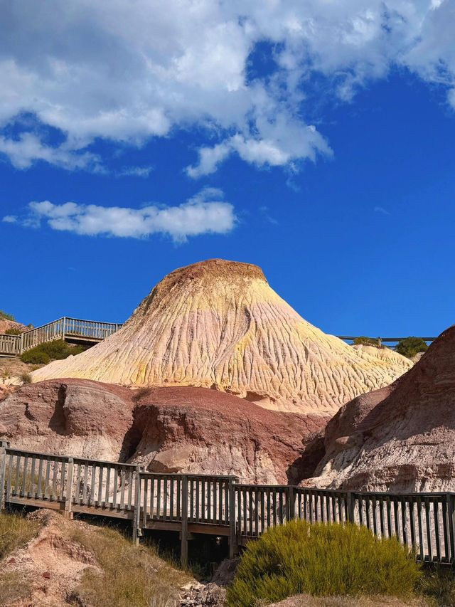 【Hallett Cove Conservation Park｜地質奇觀與海岸漫步的完美融合】