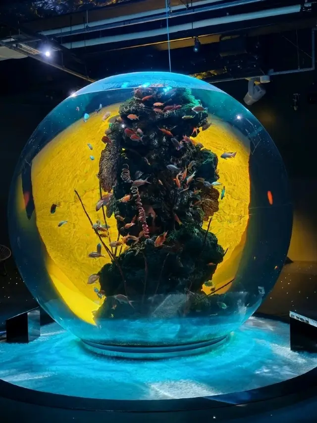 Capybaras, Kobe Beef & teamLab: A 1-Day Kobe–Osaka Journey of Tradition and Digital Magic