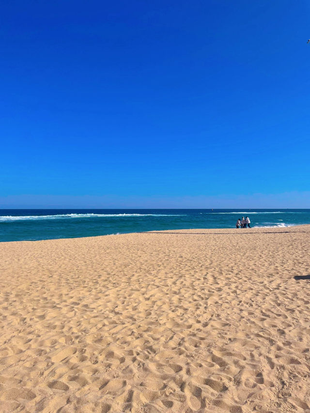 외옹치 바다향기로🌊 
