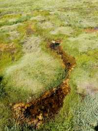 【インド・ラダック プガ温泉】天空の大地に湧き出る天然の恵み 
