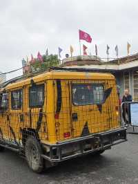來東北虎林園和虎兒們近距離接觸 適合溜娃好地方