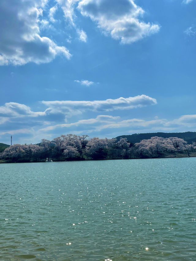 경주 보문호, 호수 위 힐링 산책 💛🌊