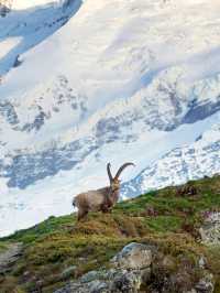 【霞慕尼 Chamonix｜歐洲屋脊下的山谷傳說】