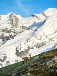 【霞慕尼 Chamonix｜歐洲屋脊下的山谷傳說】