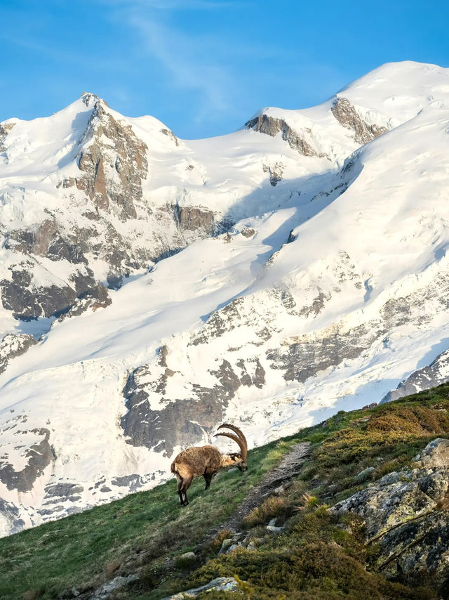 【霞慕尼 Chamonix｜歐洲屋脊下的山谷傳說】