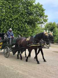 On the Road Through Europe: Long Road Trip - Austria